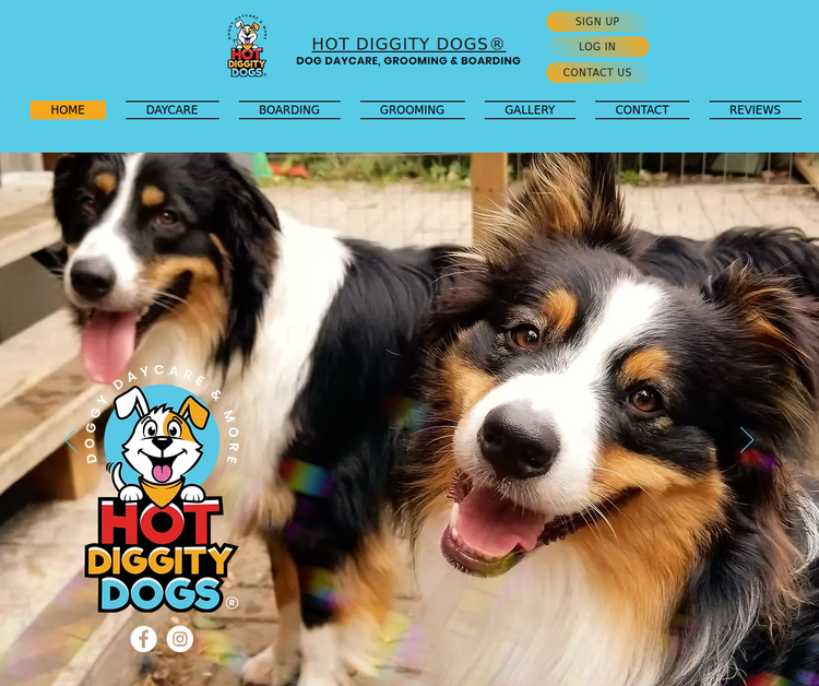 Professional Dog Care You Can Trust
