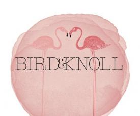 Women Luxury Cashmere Blend Scarves and Accessories