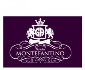 Tenuta Montefantino is an italian wine production services