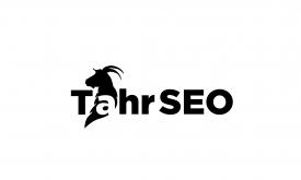 Professional SEO Company