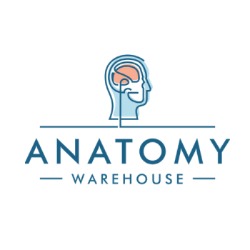 Anatomy Warehouse