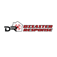 Disaster Response