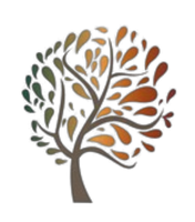 Turning Leaf Therapy, LLC